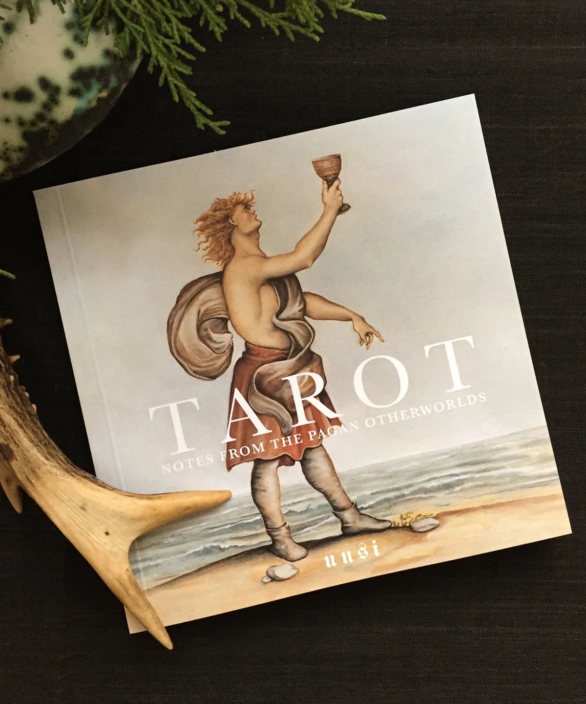 Pagan Otherworlds Tarot And Book - Uusi - Haus Nostromo