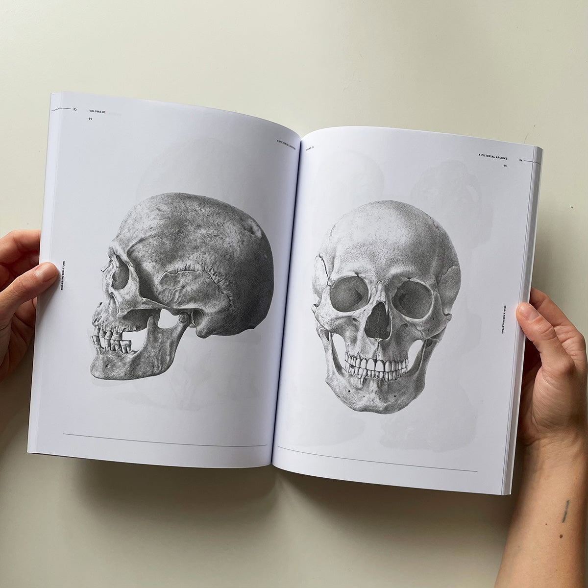 Skulls & Skeletons - Vault Editions - Haus Nostromo