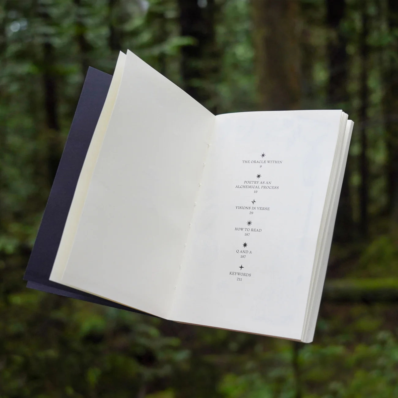 Visions In Verse - Poesis Oracle Guide Book - Poesis - Haus Nostromo