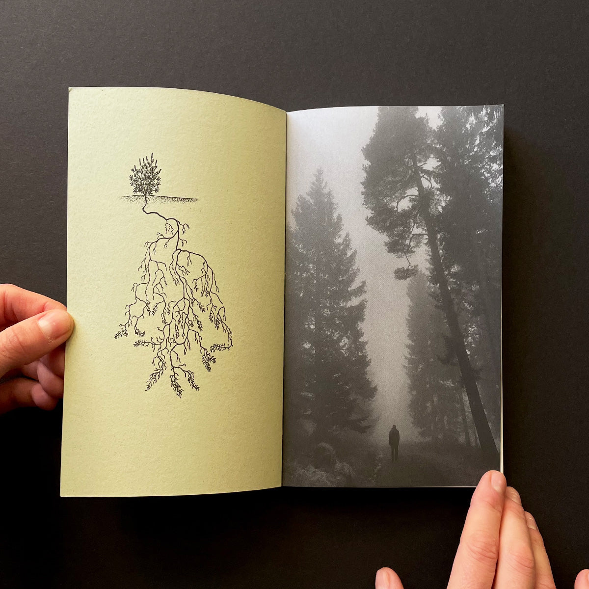 Open book with a drawing of a plant root on the left page and a photo of a person in a forest on the right page.
