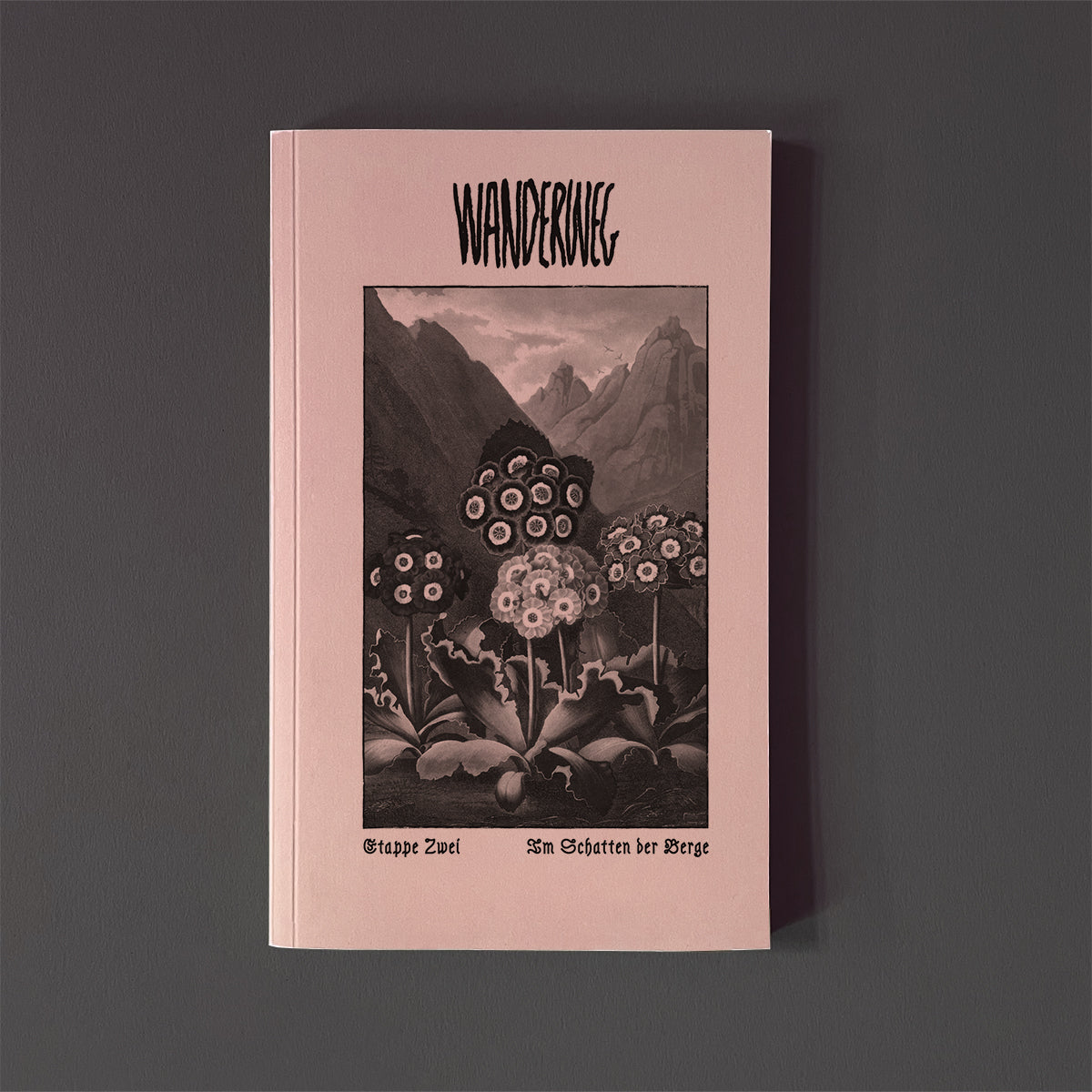 Wanderweg Issue 2 - Wanderweg Zine - Haus Nostromo
