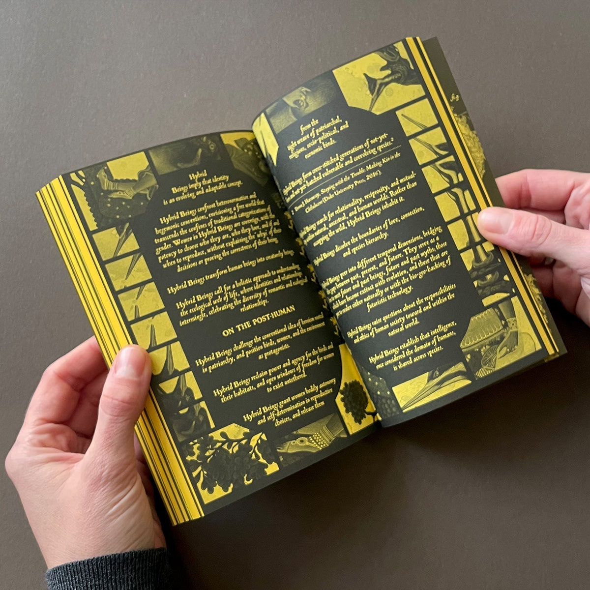 With a Bird, A Reader on Avian Kinship