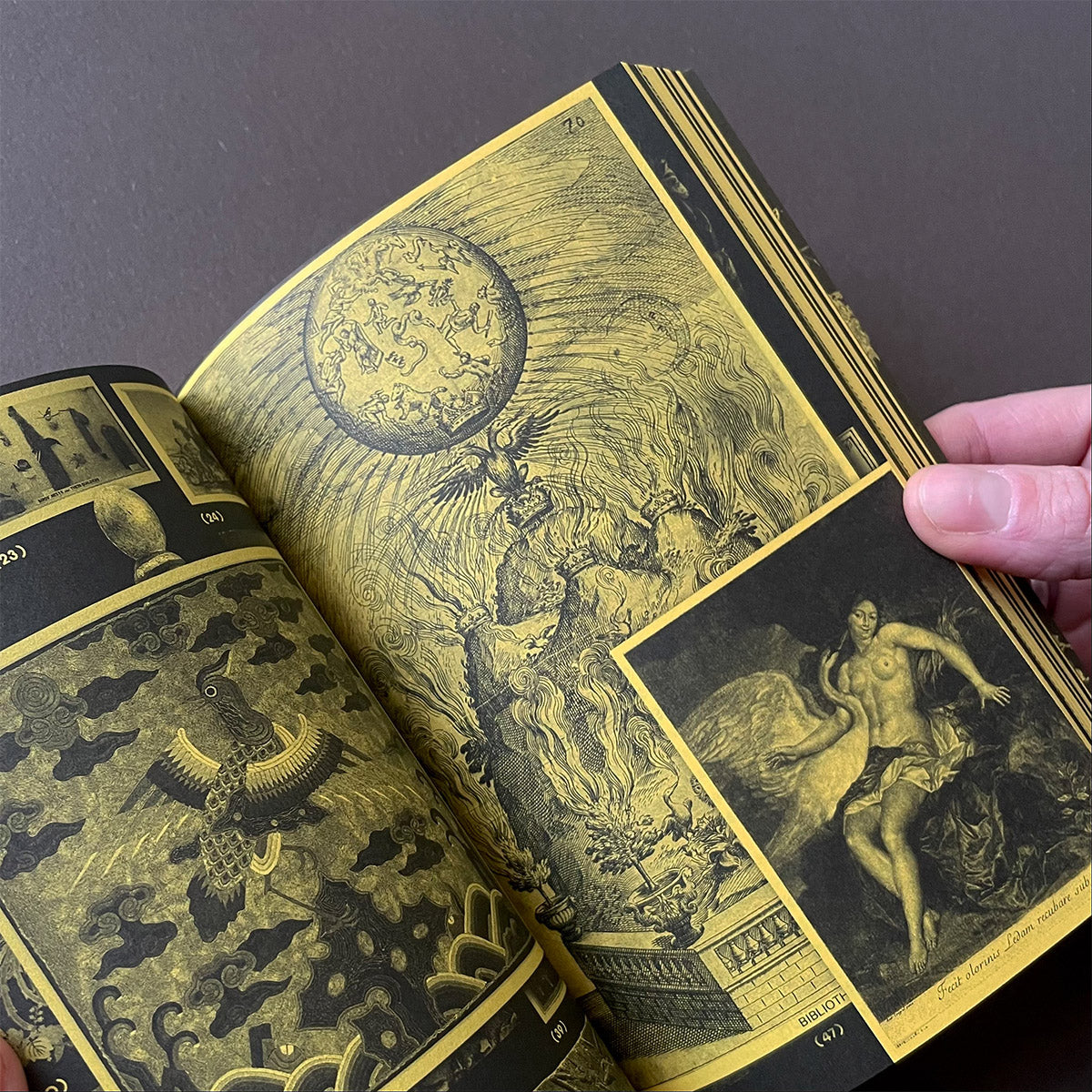 With a Bird, A Reader on Avian Kinship