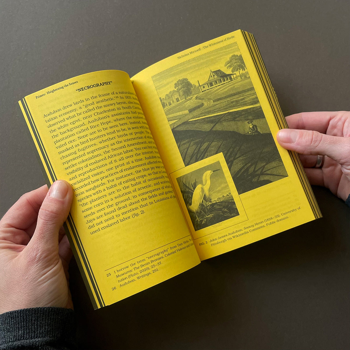 With a Bird, A Reader on Avian Kinship