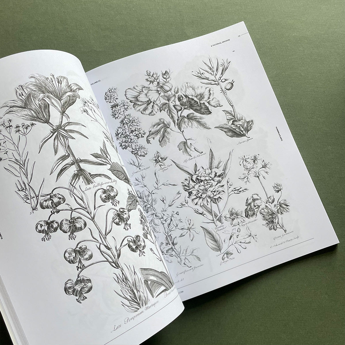Flowers & Plants - Vault Editions - Haus Nostromo