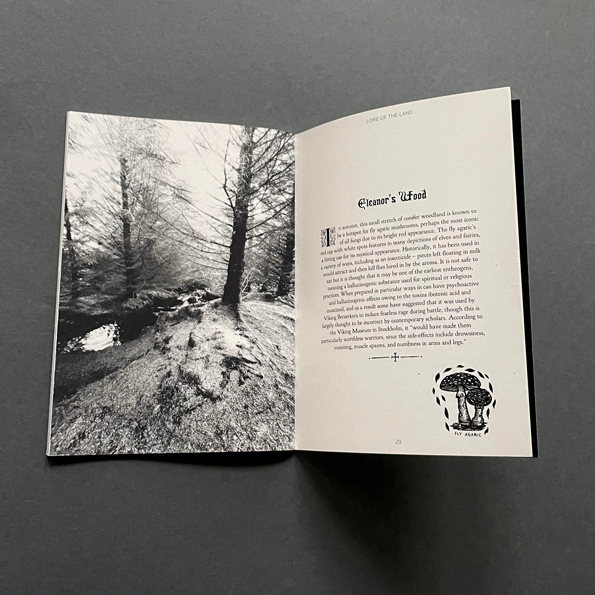 Lore of the Land Zine - Todmorden