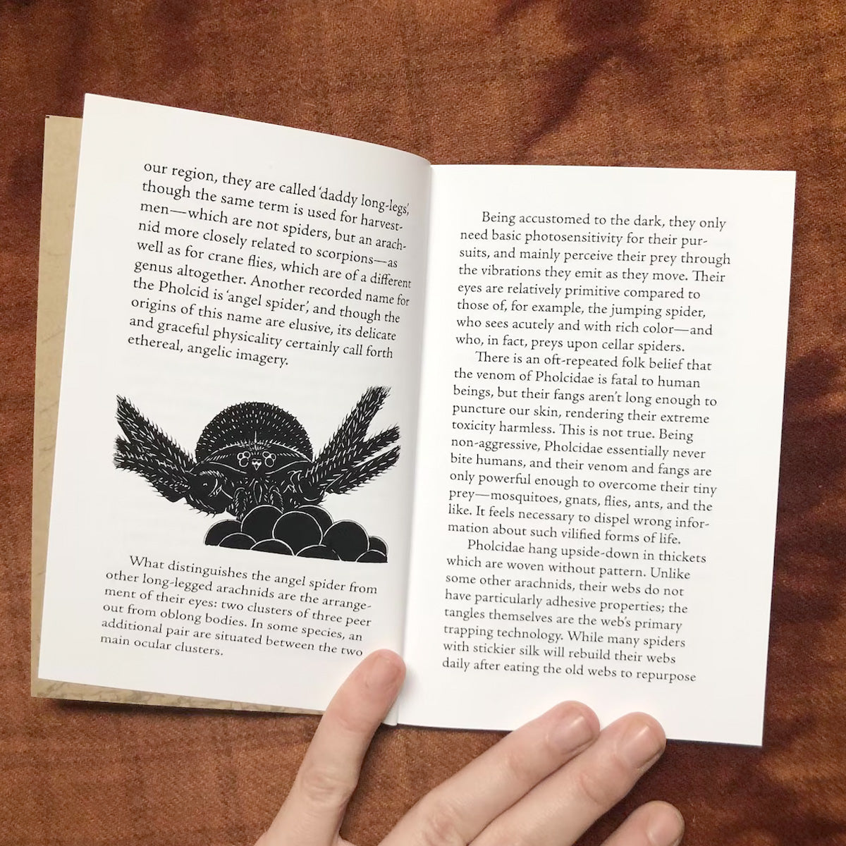 Cellar Spider Hymnal - Leodrune Press - Haus Nostromo