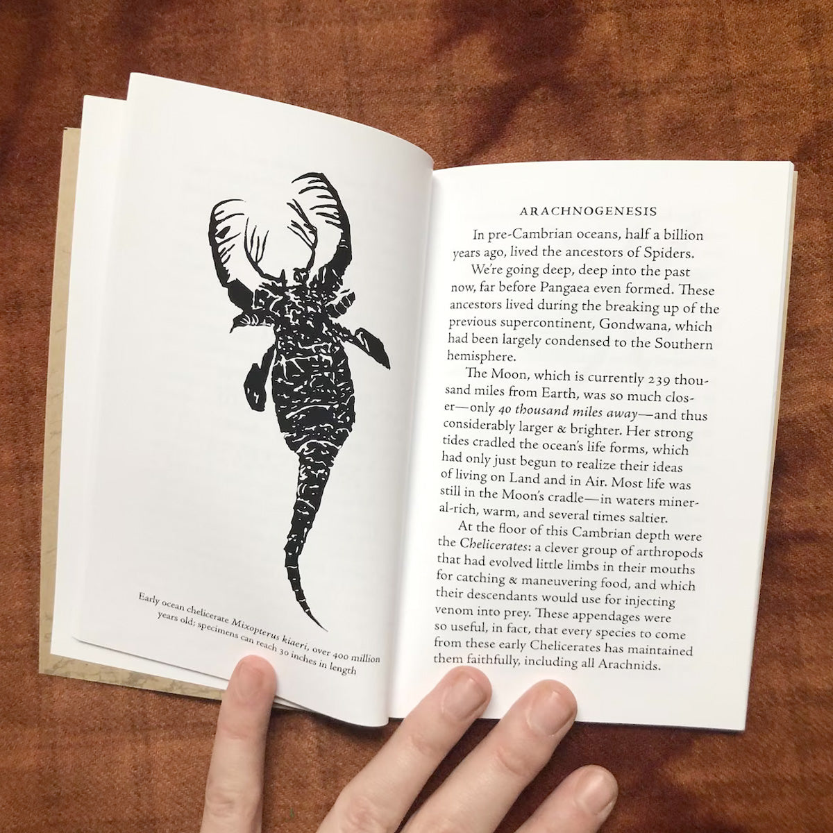 Cellar Spider Hymnal - Leodrune Press - Haus Nostromo