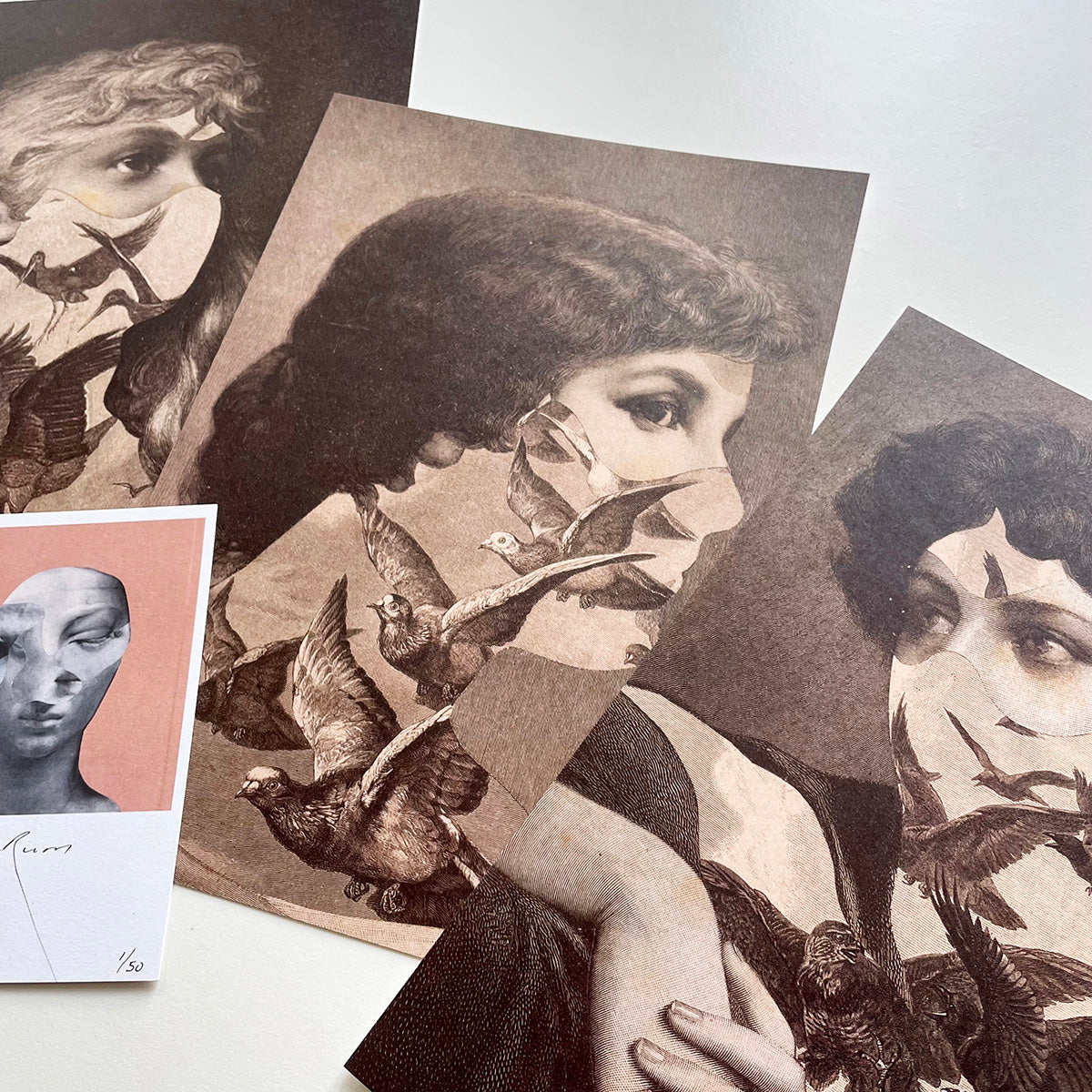 Limited Edition "Birds of Memory" Art Print Series - øjeRum - Haus Nostromo