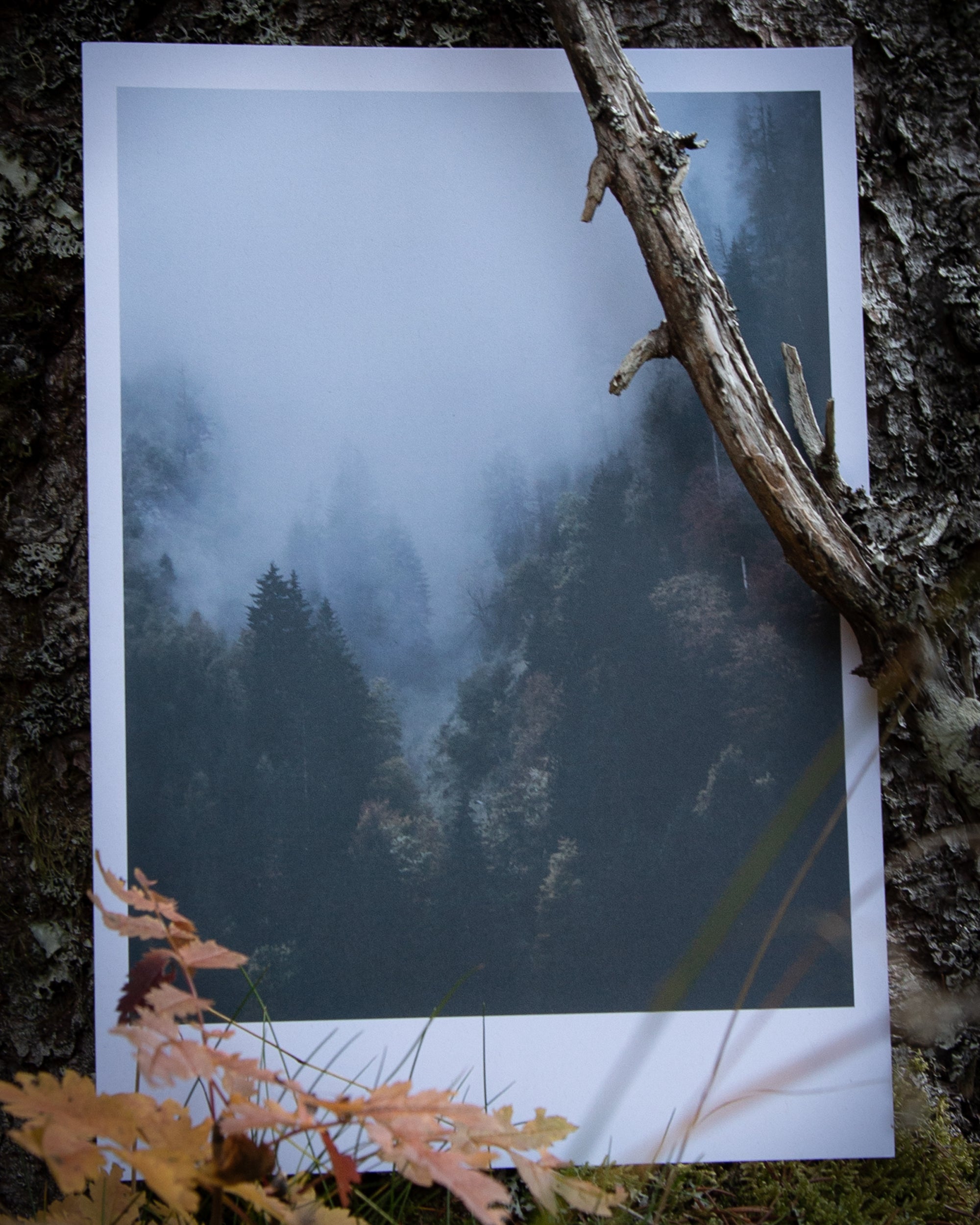 Signs Of Change Print - Underjordiske - Haus Nostromo