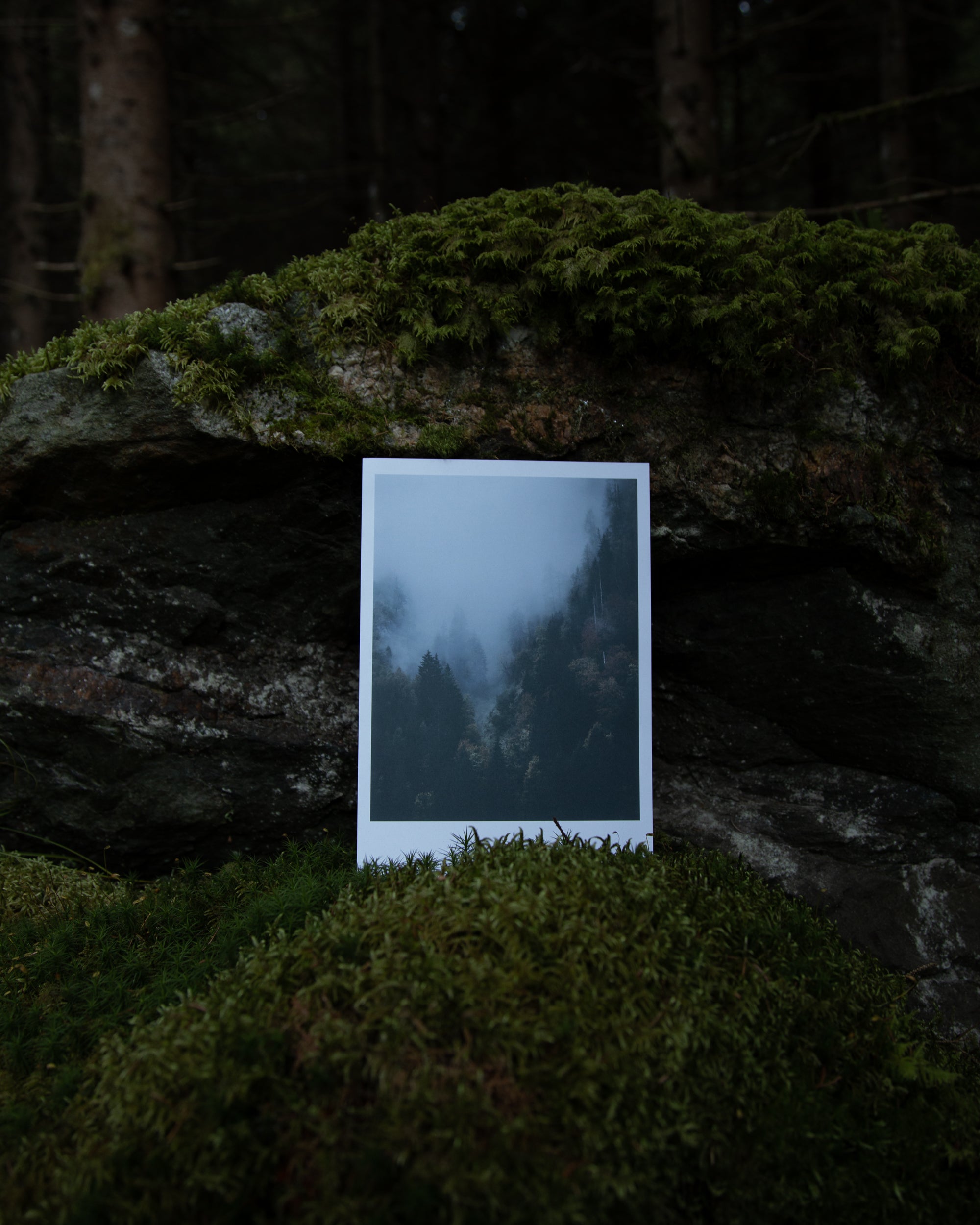 Signs Of Change Print - Underjordiske - Haus Nostromo