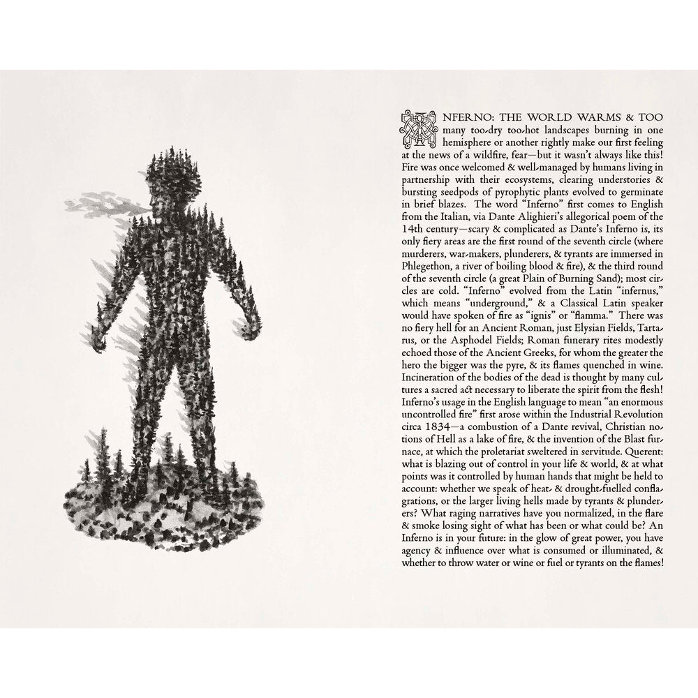 Madame Lulu's Book Of Fate: A Guide to the Carnival at the End of the World Tarot - Kahn & Selesnick - Haus Nostromo