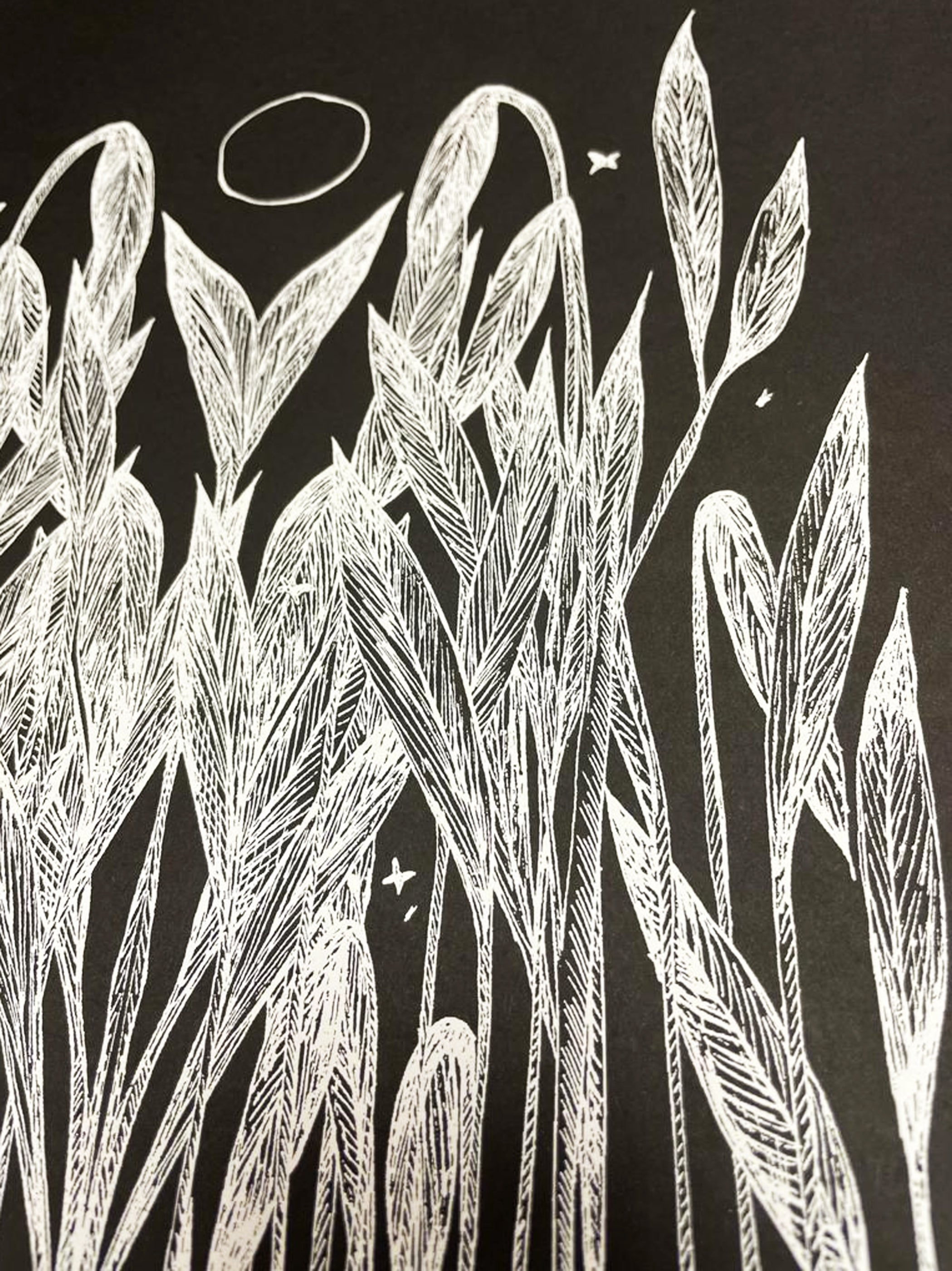 The Secret Reeds - Rachel Anna Davies Illustration - Haus Nostromo