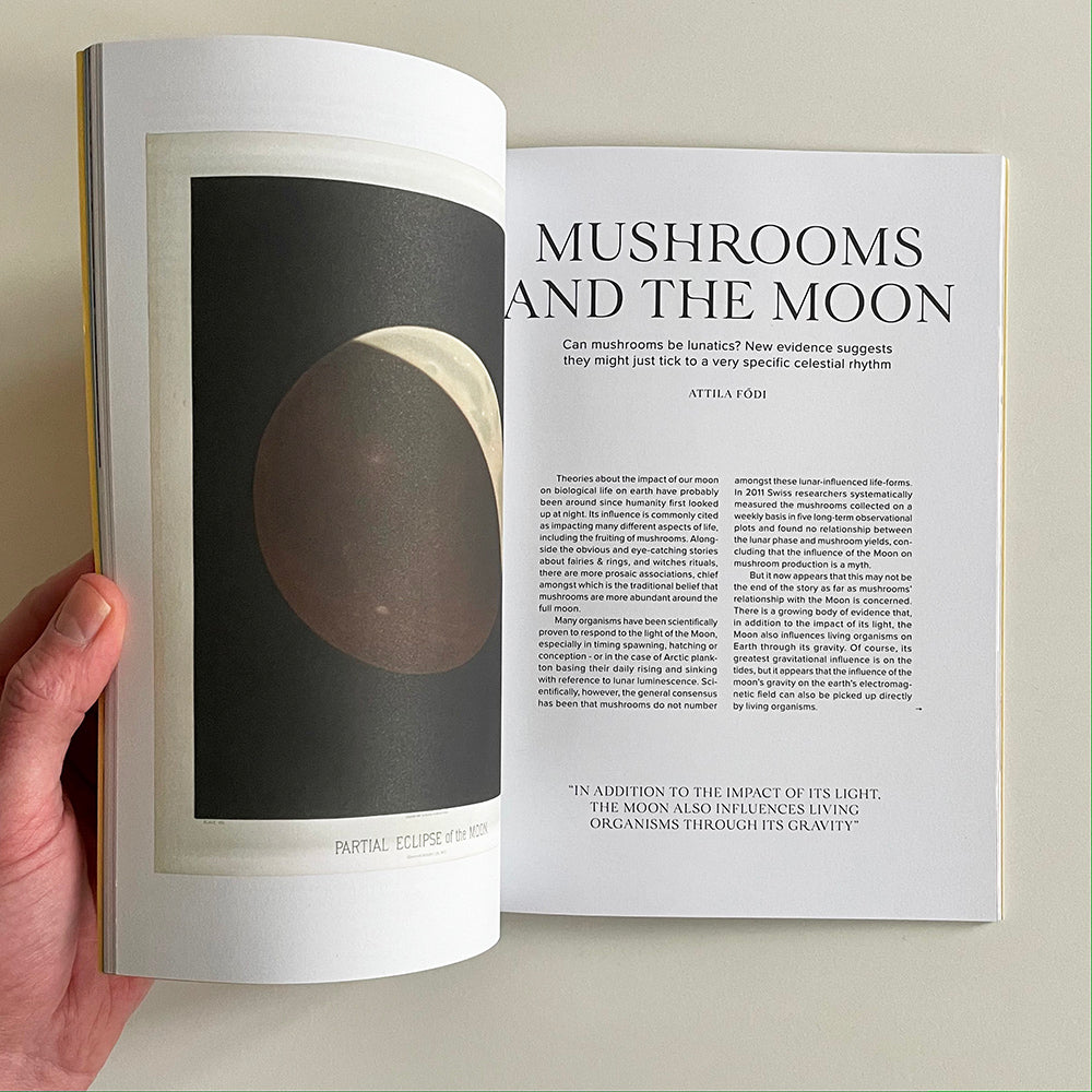 The Mushroom Issue 1