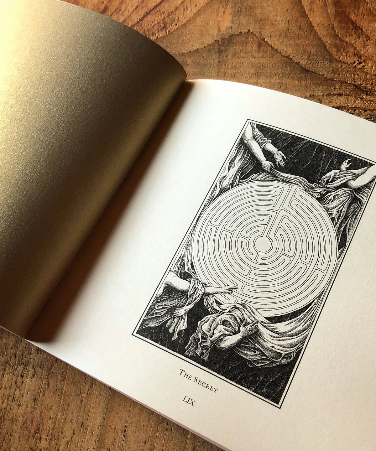 "Supra: The Hidden Path of an Oracle" Book - Uusi - Haus Nostromo